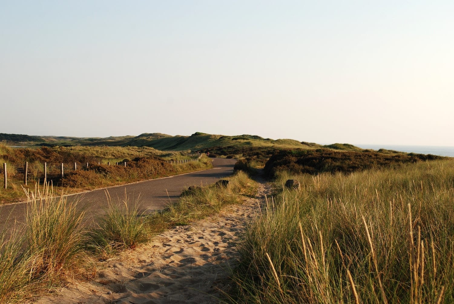 texel - nature - dunes